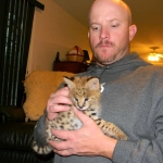 Whistler - Serval Male DOB 1-28-11