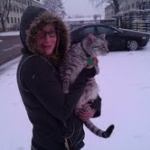 Archie - Silver Mau DOB 7-17-11