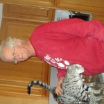 KJ - F-2 Silver male Savannah DOB 3-25-11