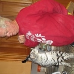 KJ - F-2 Silver male Savannah DOB 3-25-11