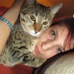 Maggie - Egyptian Mau Bronze female DOB 3-15-12