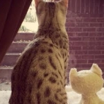 Zaza and her BFF.