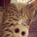 Zaza's new pal!