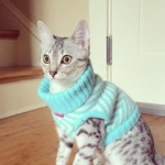 Zaza in Sweater