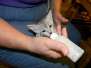 Snowy - Silver Female Egyptian Mau  DOB 6-17-11