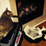 jasmine-and-friend-by-fire