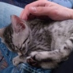 Ra first day home