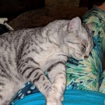 IMG_20180812_135836-800