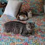 IMG_20180819_123049-800