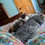 IMG_20180825_102726-800