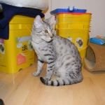 Mau Autumun Fall 2014 005-800