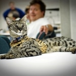 Dakar at FCF Convention