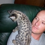 Zulu - F-1 Savannah female DOB 3/22/09