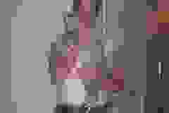 Zuko - Egyptian Mau Silver  DOB 5-2-09