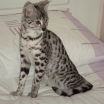 Neytiri 2-3-11