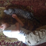 Tiye - F-1 Savannah Female DOB 3-21-10