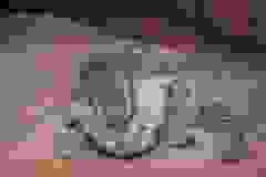 Isis - Egyptian Mau Silver Female  DOB 4-11-10