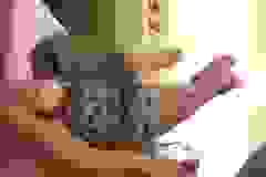 Osirus - Egyptian Mau Bronze Male  DOB 4-22-10