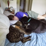 Otis, F-1 Savannah and his dog and brother.jpg