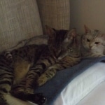 Otis & Gracie