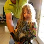 Billy F-1 Savannah Male DOB 7-20-10