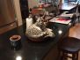 Milo Egyptian Mau silver Male #1 DOB 6-15-16