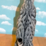 Precious, Egyptian Mau, silver, female DOB 3-13-16