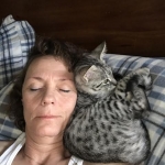 Angel, F-2B Savannah, Female, , Silver,DOB 6-16-16