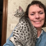 Angel, F-2B Savannah, Female, , Silver,DOB 6-16-16