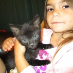 Savannah, F-2B Black on Black Male DOB 4-5-16