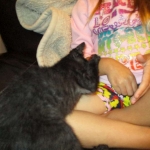 F-2B Savannah, female Mel 4-5-16