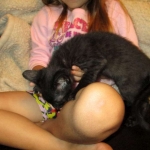 F-2B Savannah, female Mel 4-5-16