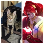 Pyrrha Mikos, Savannah, BST, Female, DOB 4-25-16