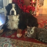 Cecil and Izzy Christmas 2018