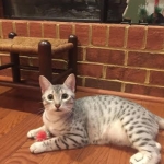 Chloe 12-15