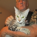 Egyptian Mau, Marble, silver, DOB 4-28-17