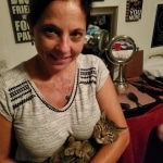 Mau, Bronze Male DOB 5-11-21