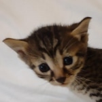 IMG_20210607_104211990_MP