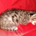 IMG_20210308_162016862