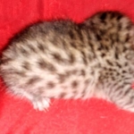 IMG_20210223_094410812