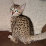 IMG_20210408_180633570