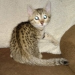 IMG_20210408_180635509