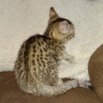 IMG_20210408_180637259