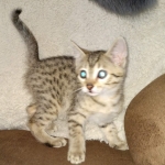 IMG_20210408_180640058