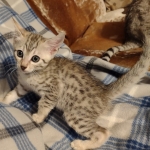 IMG_20210525_205528313