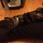Penny first day