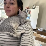 Storm Mau silver female DOB 12-23-21