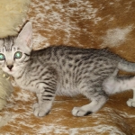 IMG_20201128_135639791