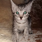 IMG_20201128_135800855