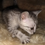 IMG_20191205_103517201